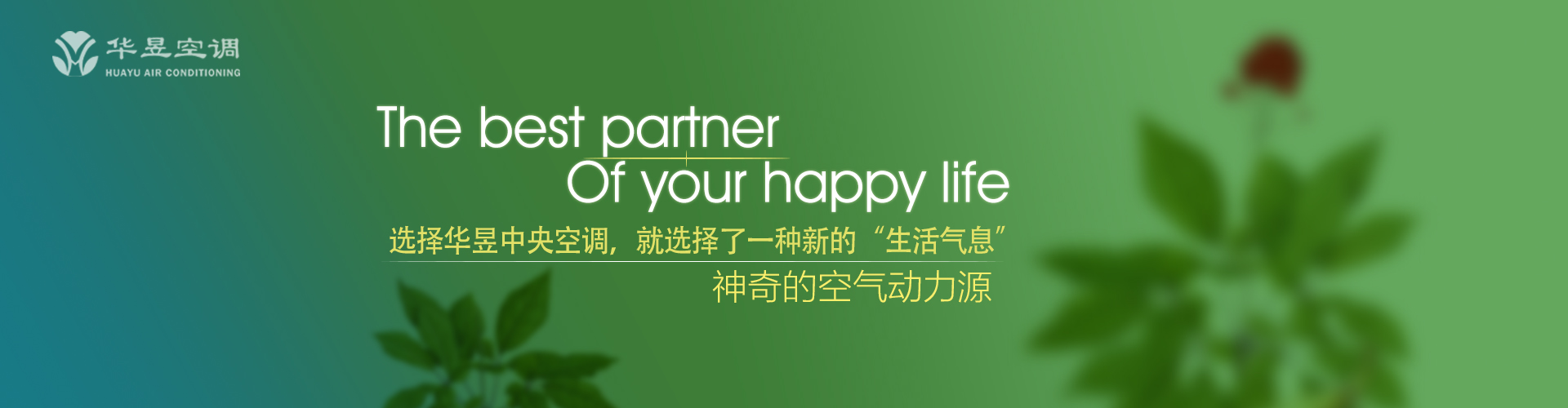 才貌双全网